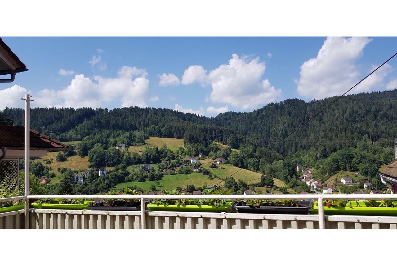 Talstadtblick Schramberg Esterno foto