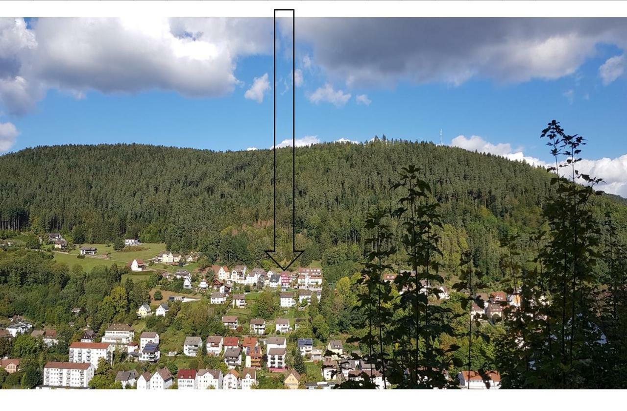 Talstadtblick Schramberg Esterno foto