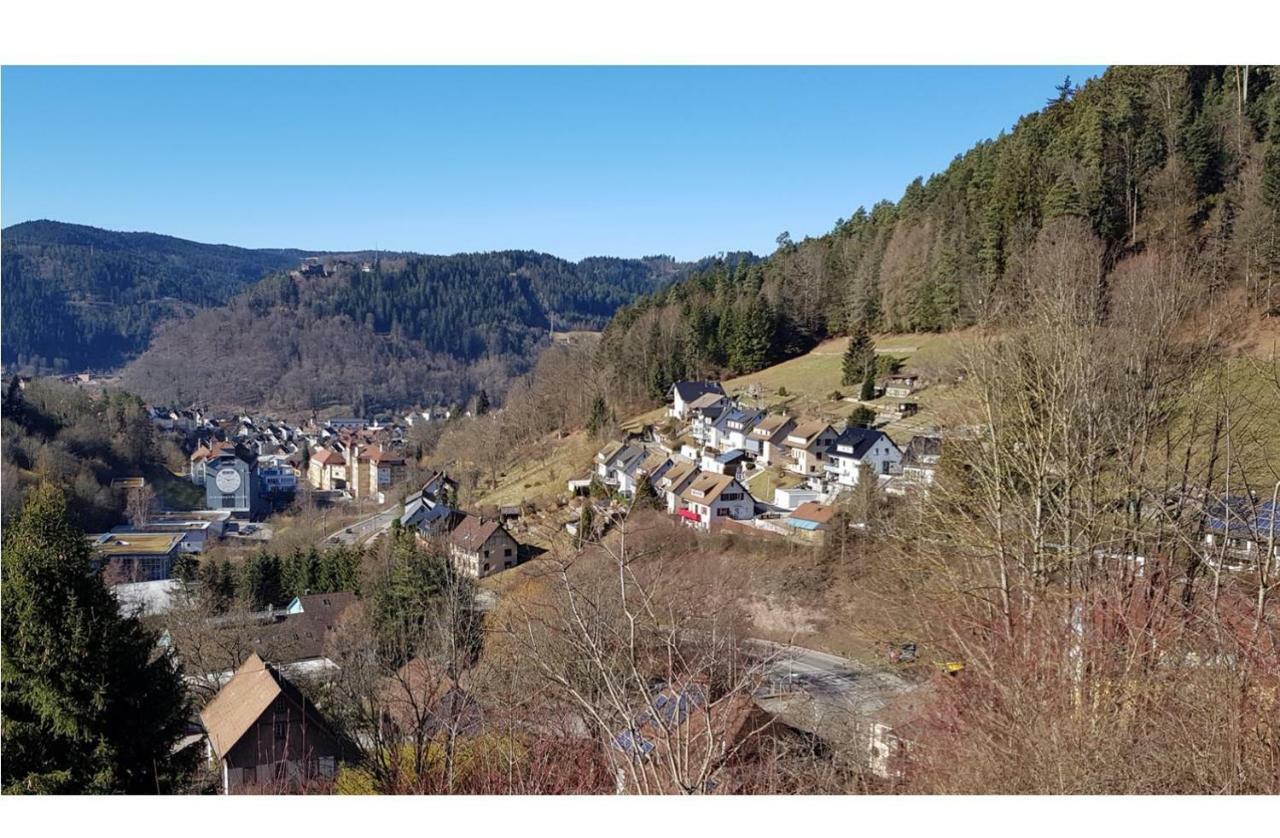 Talstadtblick Schramberg Esterno foto